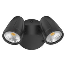 Hailee 2 Light Outdoor Wall Spotlight